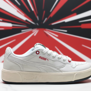 04ce75ac e785 4c45 a690 efaf7e9a5d68.png