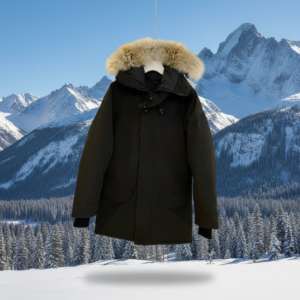 0753840a 3f38 48e9 b47b d0cf99c6f200.png