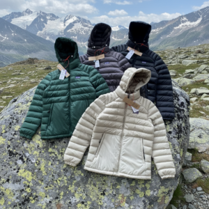 43d5d29b 82d5 4641 bffb cf399e9be97a.png