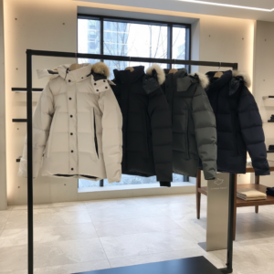 4fca584d 6859 4040 a4fb 632f659f9984.png