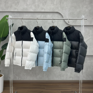 5e17ebc1 711a 48c8 904e a8815ee50218.png