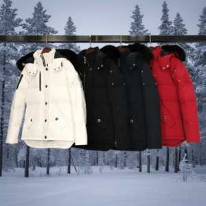 ecc45a8b 4f7b 464e b7d2 e92c2a5caa4c.png